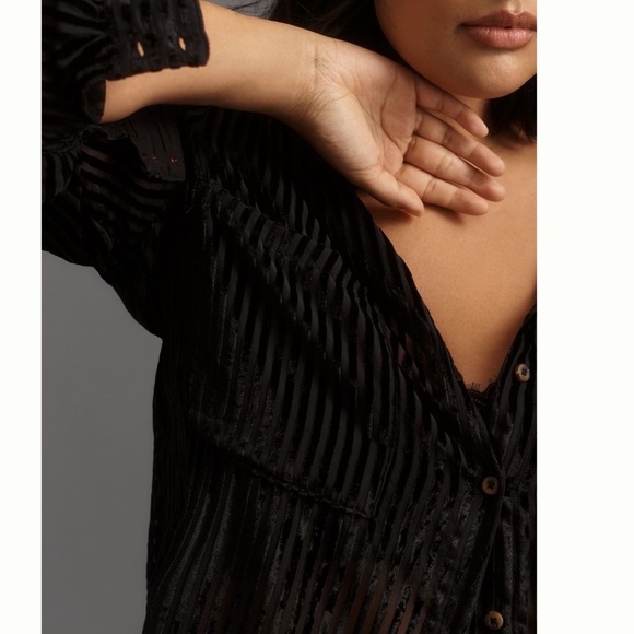 NWT Anthropologie Pilcro Velvet Burnout Long Sleeve Buttondown Blouse 2X - Picture 4 of 13